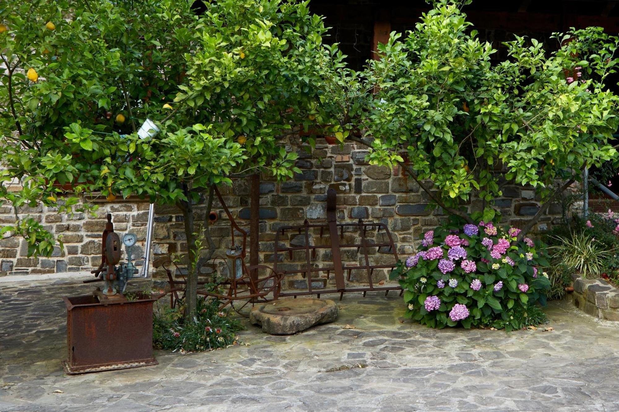 Il Vecchio Frantoio Villa Stella Cilento Kültér fotó